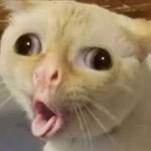 Meet your Posher, Leonel